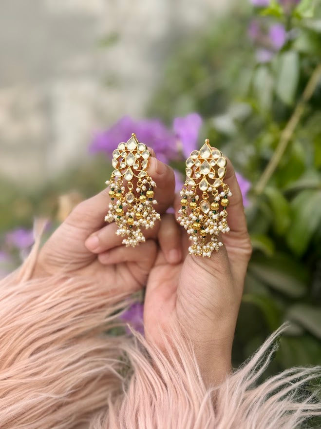 Nargis Choker & Earrings set